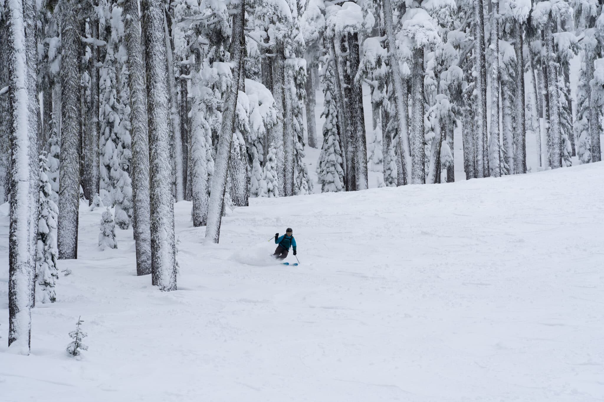 Season Passes Willamette Pass