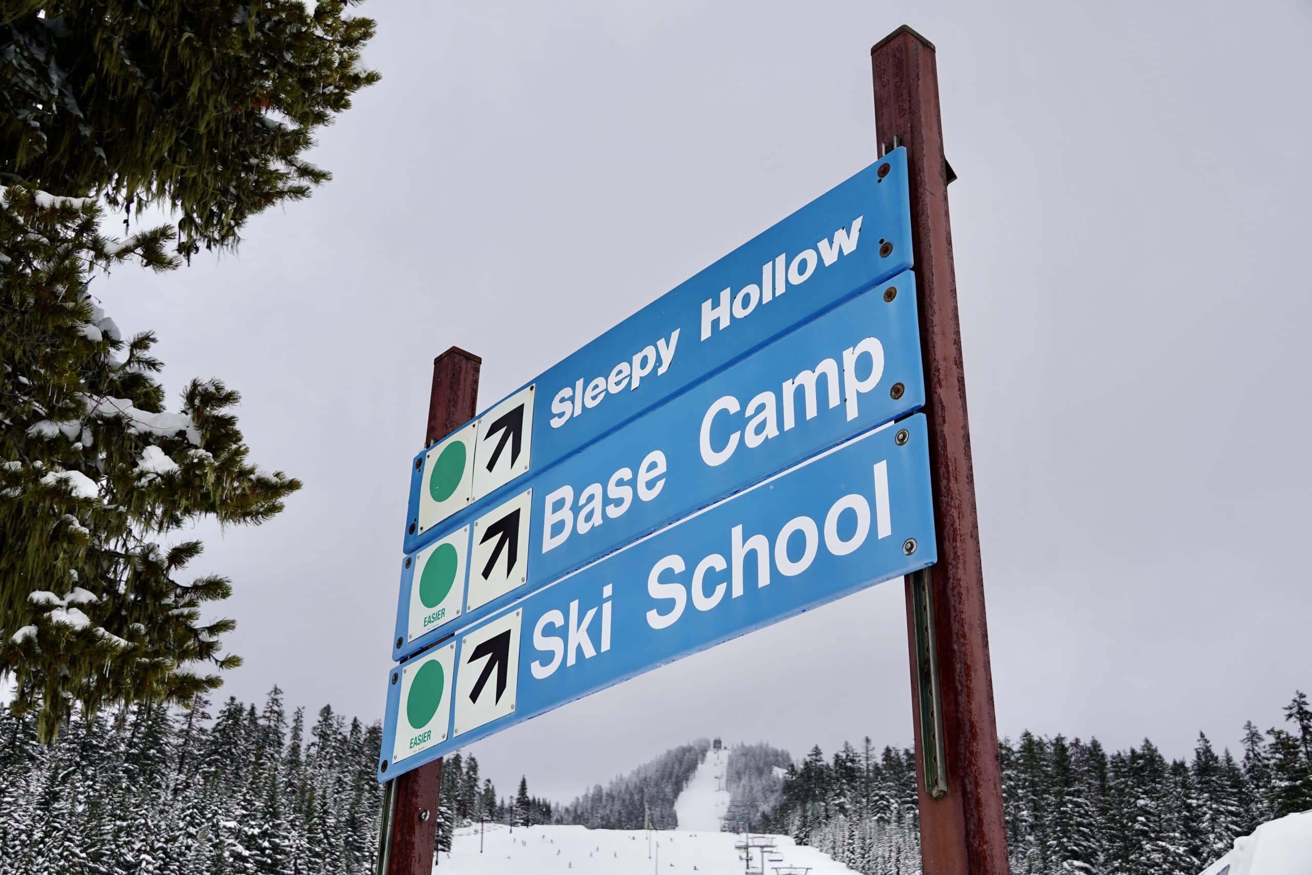 Beginner terrain and lesson area sign at Willamette Pass