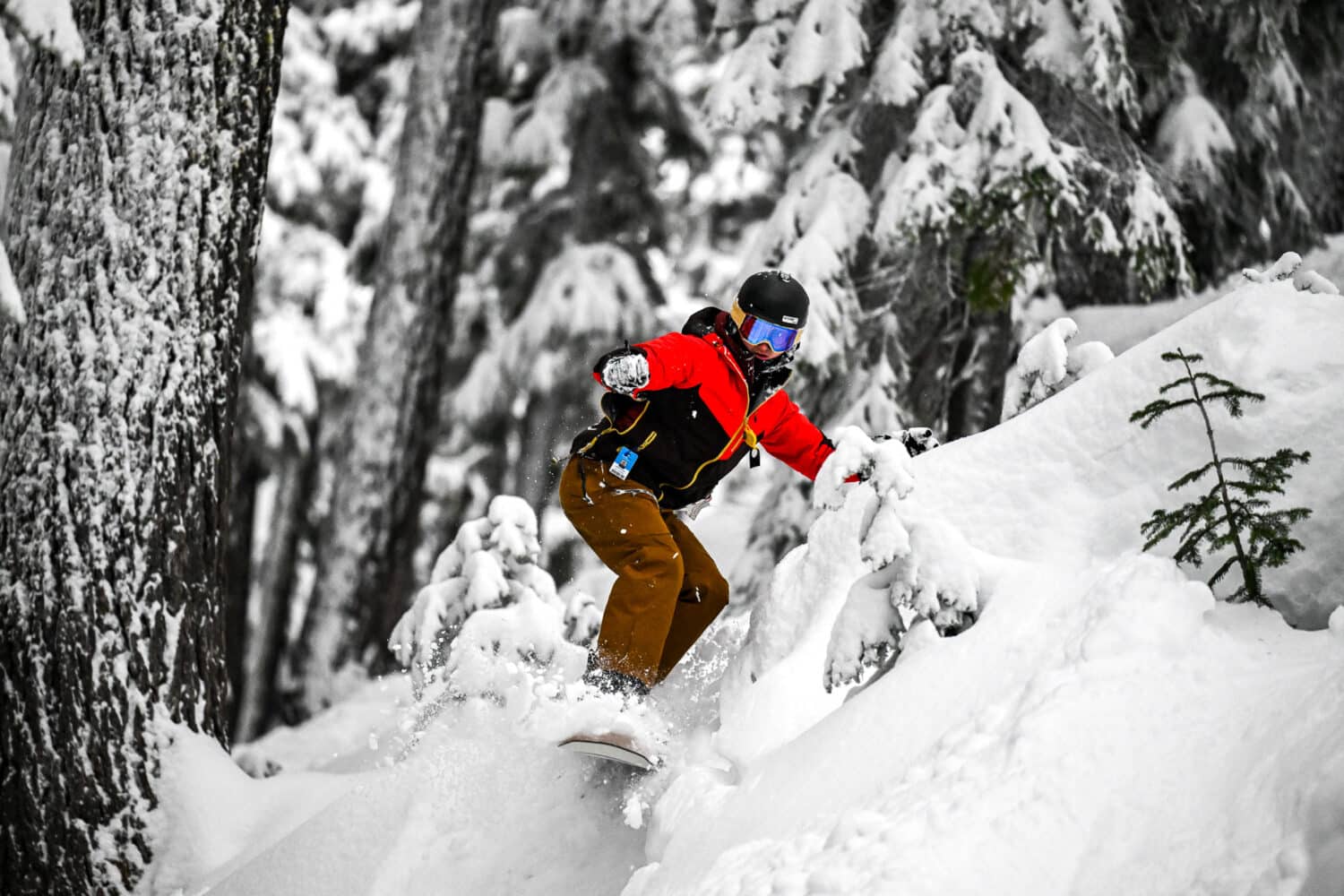 96 inches of snowfall so far this season at Willamette Pass in Oregon
