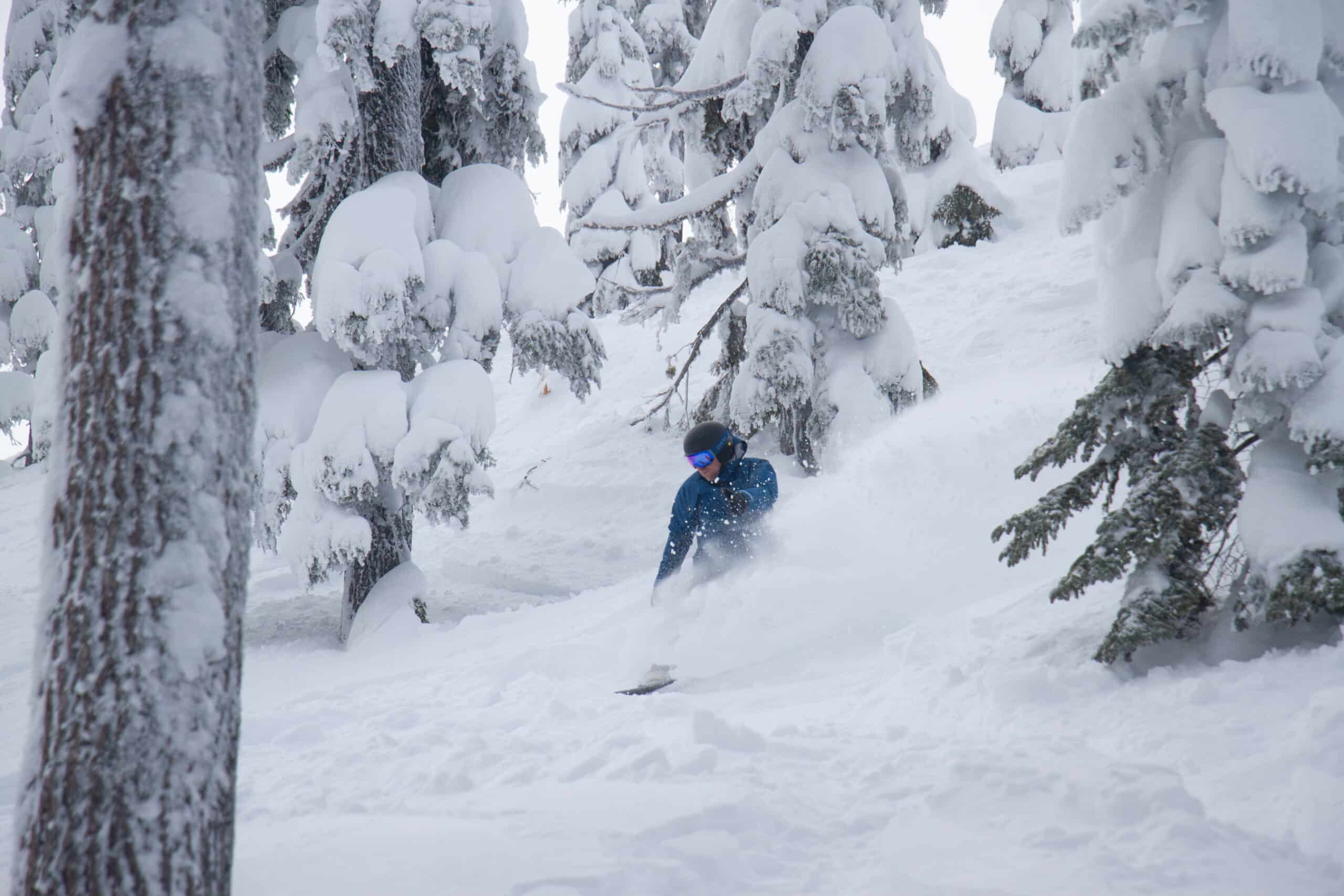 Snowboarder taking a tree run at Willamette Pass Ski Resort